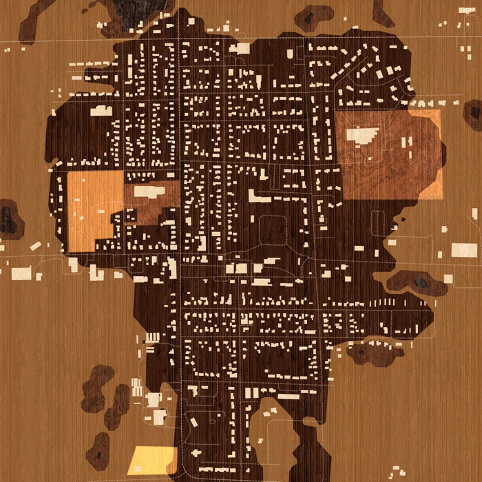 Randolph - Wisconsin Map Print in Ember — JACE Maps