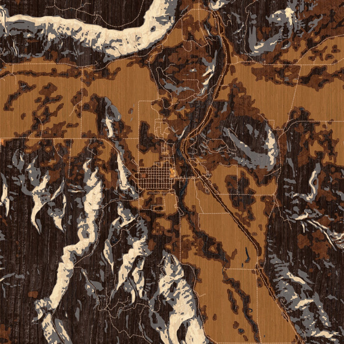 Ridgway Colorado Map Print in Ember Style Zoomed In Close Up Showing Details