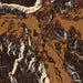 Ridgway Colorado Map Print in Ember Style Zoomed In Close Up Showing Details