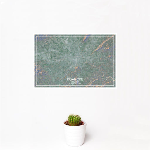 12x18 Roanoke Virginia Map Print Landscape Orientation in Afternoon Style With Small Cactus Plant in White Planter