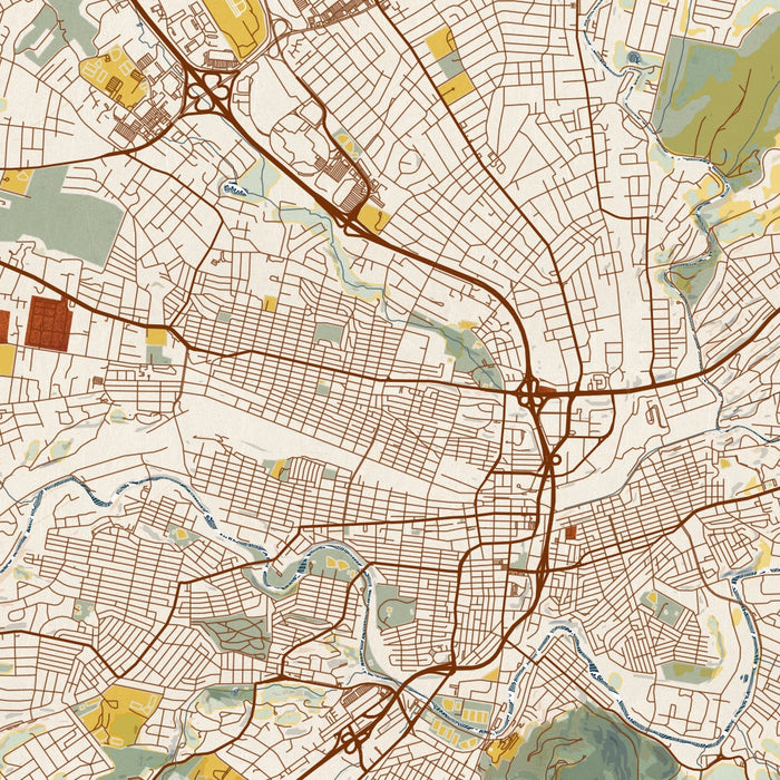 Roanoke Virginia Map Print in Woodblock Style Zoomed In Close Up Showing Details