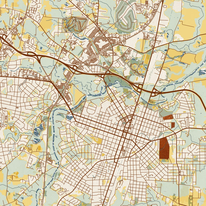 Rocky Mount North Carolina Map Print in Woodblock Style Zoomed In Close Up Showing Details