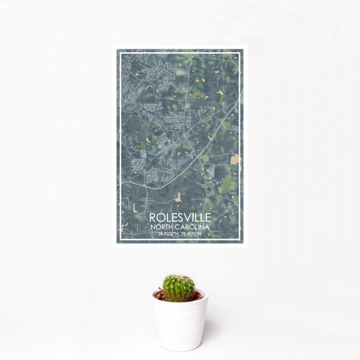 12x18 Rolesville North Carolina Map Print Portrait Orientation in Afternoon Style With Small Cactus Plant in White Planter