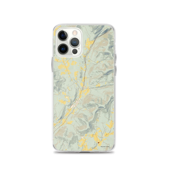 Custom Roxbury New York Map iPhone 12 Pro Phone Case in Woodblock