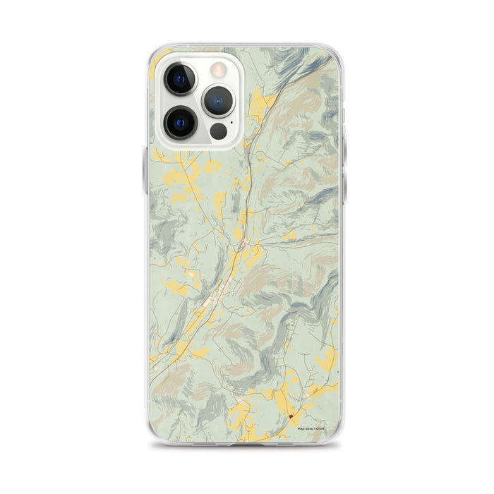 Custom Roxbury New York Map iPhone 12 Pro Max Phone Case in Woodblock