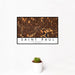 12x18 Saint Paul Minnesota Map Print Landscape Orientation in Ember Style With Small Cactus Plant in White Planter