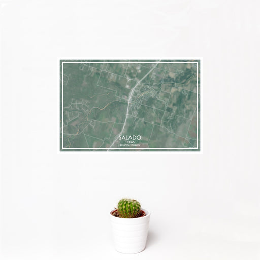12x18 Salado Texas Map Print Landscape Orientation in Afternoon Style With Small Cactus Plant in White Planter