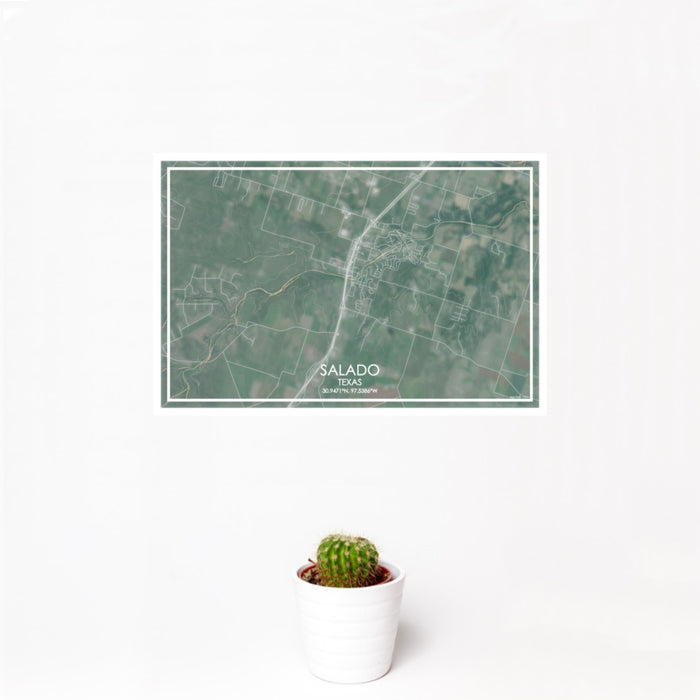 12x18 Salado Texas Map Print Landscape Orientation in Afternoon Style With Small Cactus Plant in White Planter