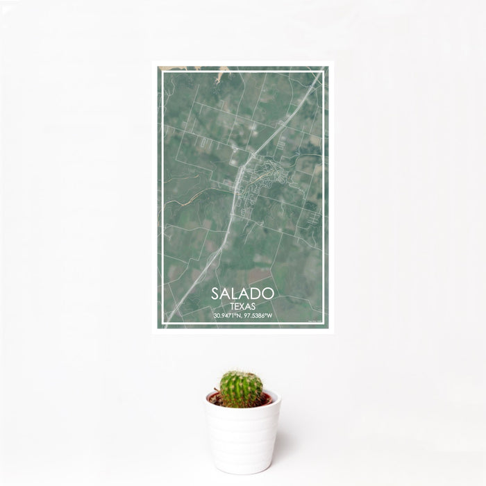 12x18 Salado Texas Map Print Portrait Orientation in Afternoon Style With Small Cactus Plant in White Planter