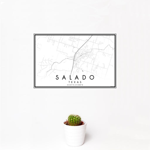 12x18 Salado Texas Map Print Landscape Orientation in Classic Style With Small Cactus Plant in White Planter