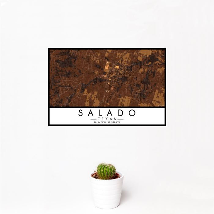 12x18 Salado Texas Map Print Landscape Orientation in Ember Style With Small Cactus Plant in White Planter