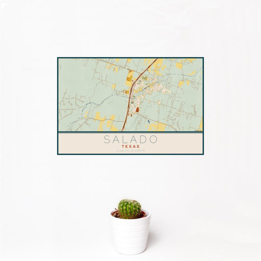 12x18 Salado Texas Map Print Landscape Orientation in Woodblock Style With Small Cactus Plant in White Planter