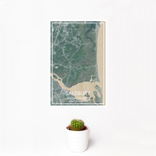 12x18 Salisbury Massachusetts Map Print Portrait Orientation in Afternoon Style With Small Cactus Plant in White Planter