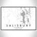 Salisbury Vermont Map Print Landscape Orientation in Classic Style With Shaded Background