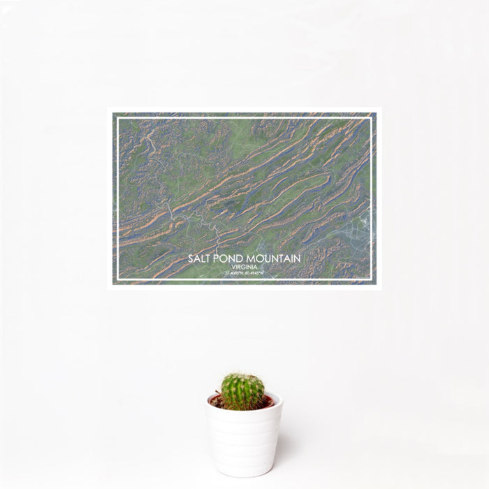 12x18 Salt Pond Mountain Virginia Map Print Landscape Orientation in Afternoon Style With Small Cactus Plant in White Planter