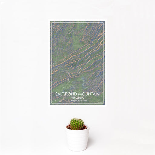 12x18 Salt Pond Mountain Virginia Map Print Portrait Orientation in Afternoon Style With Small Cactus Plant in White Planter