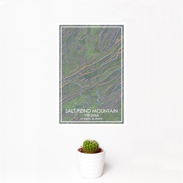 12x18 Salt Pond Mountain Virginia Map Print Portrait Orientation in Afternoon Style With Small Cactus Plant in White Planter