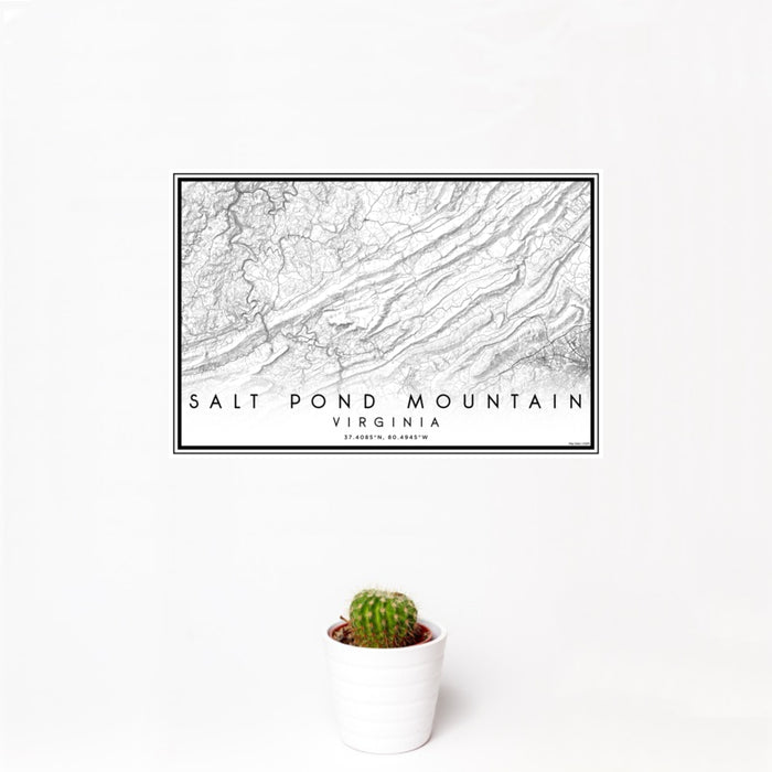 12x18 Salt Pond Mountain Virginia Map Print Landscape Orientation in Classic Style With Small Cactus Plant in White Planter
