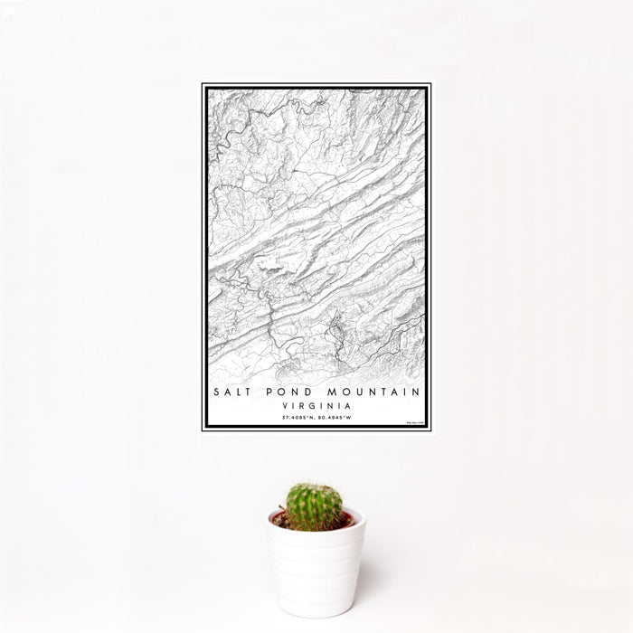12x18 Salt Pond Mountain Virginia Map Print Portrait Orientation in Classic Style With Small Cactus Plant in White Planter