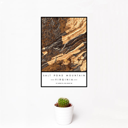 12x18 Salt Pond Mountain Virginia Map Print Portrait Orientation in Ember Style With Small Cactus Plant in White Planter