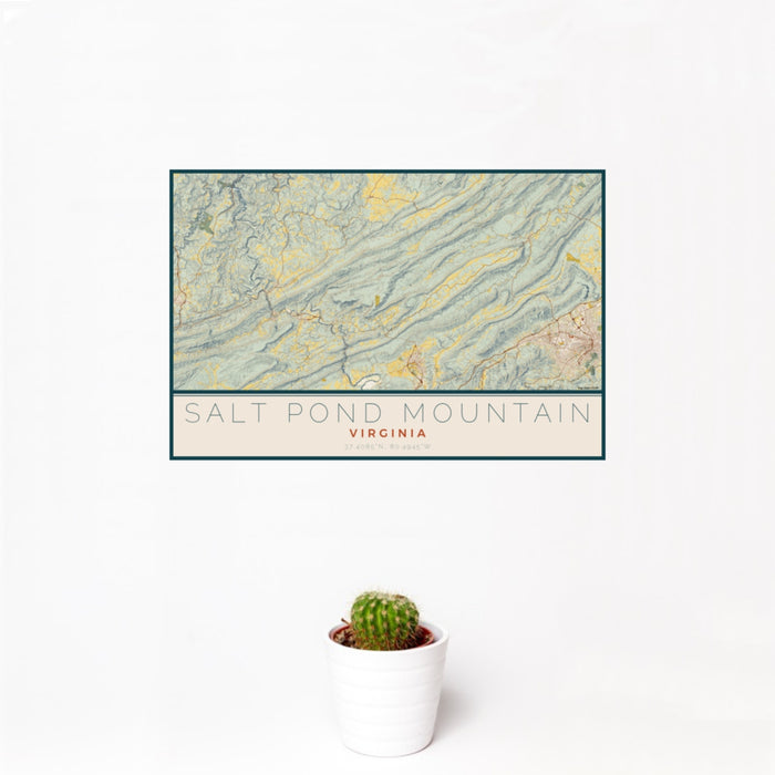 12x18 Salt Pond Mountain Virginia Map Print Landscape Orientation in Woodblock Style With Small Cactus Plant in White Planter