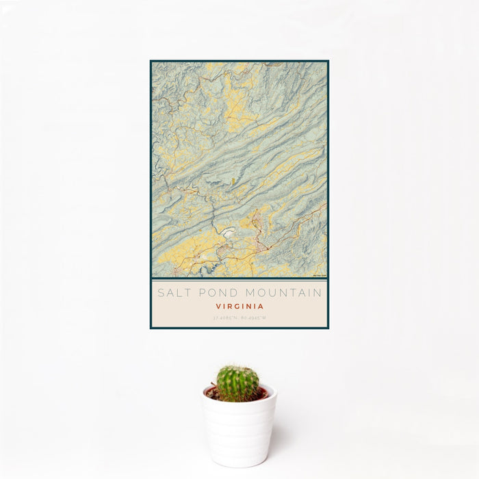 12x18 Salt Pond Mountain Virginia Map Print Portrait Orientation in Woodblock Style With Small Cactus Plant in White Planter
