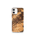 Custom Scranton Pennsylvania Map iPhone 12 mini Phone Case in Ember