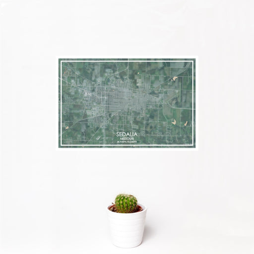 12x18 Sedalia Missouri Map Print Landscape Orientation in Afternoon Style With Small Cactus Plant in White Planter