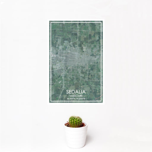 12x18 Sedalia Missouri Map Print Portrait Orientation in Afternoon Style With Small Cactus Plant in White Planter
