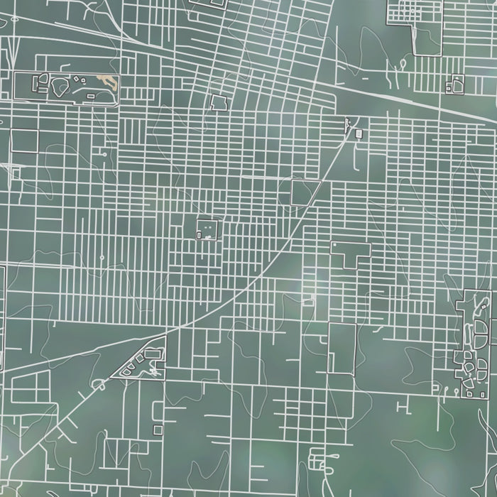 Sedalia Missouri Map Print in Afternoon Style Zoomed In Close Up Showing Details