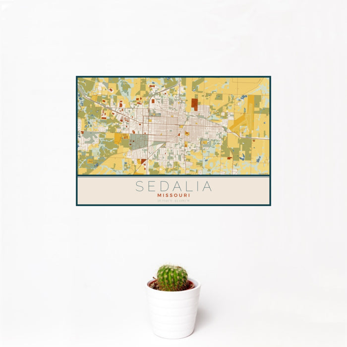 12x18 Sedalia Missouri Map Print Landscape Orientation in Woodblock Style With Small Cactus Plant in White Planter