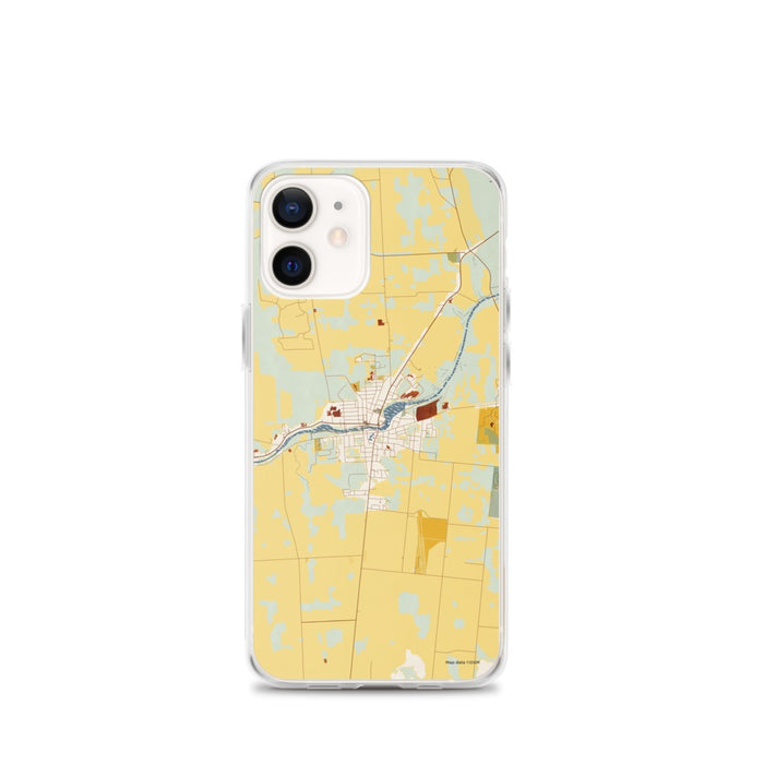 Custom Seneca Falls New York Map iPhone 12 mini Phone Case in Woodblock