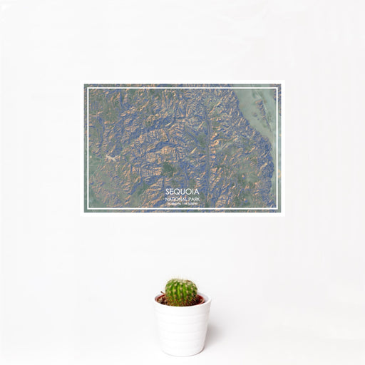 12x18 Sequoia national Park Map Print Landscape Orientation in Afternoon Style With Small Cactus Plant in White Planter
