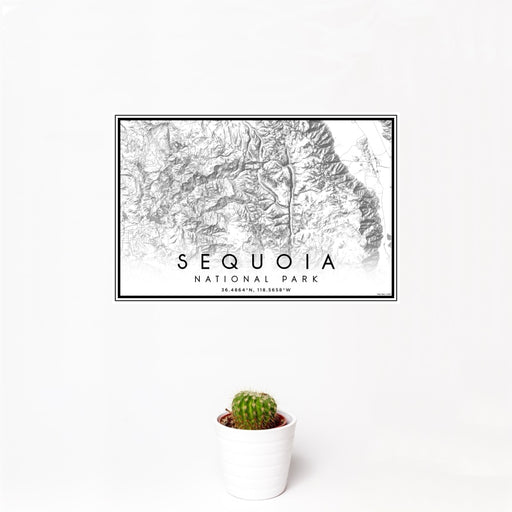 12x18 Sequoia National Park Map Print Landscape Orientation in Classic Style With Small Cactus Plant in White Planter