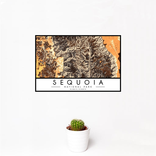 12x18 Sequoia National Park Map Print Landscape Orientation in Ember Style With Small Cactus Plant in White Planter