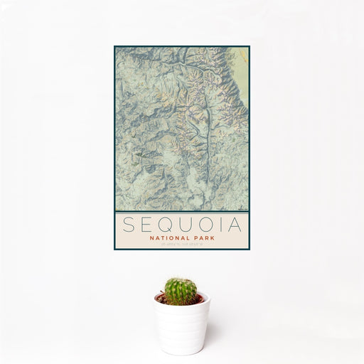 12x18 Sequoia National Park Map Print Portrait Orientation in Woodblock Style With Small Cactus Plant in White Planter