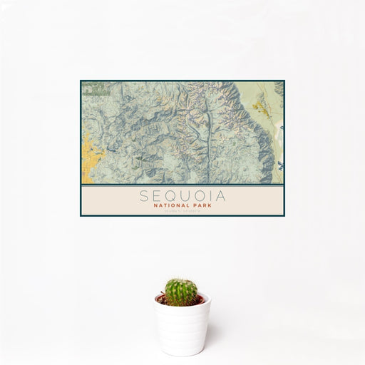 12x18 Sequoia National Park Map Print Landscape Orientation in Woodblock Style With Small Cactus Plant in White Planter
