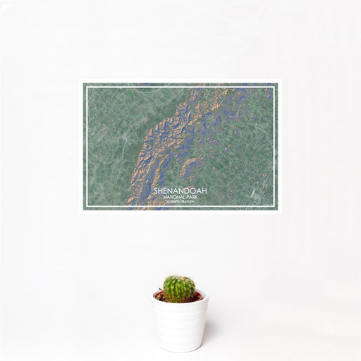 12x18 Shenandoah National Park Map Print Landscape Orientation in Afternoon Style With Small Cactus Plant in White Planter