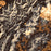 Shenandoah National Park Map Print in Ember Style Zoomed In Close Up Showing Details