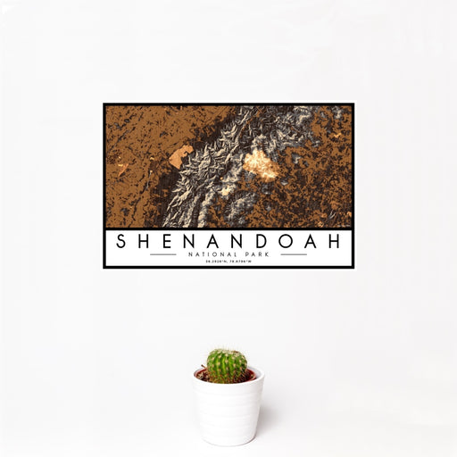 12x18 Shenandoah National Park Map Print Landscape Orientation in Ember Style With Small Cactus Plant in White Planter