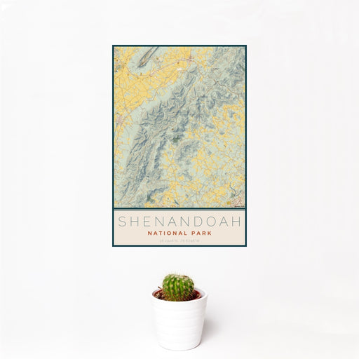 12x18 Shenandoah National Park Map Print Portrait Orientation in Woodblock Style With Small Cactus Plant in White Planter