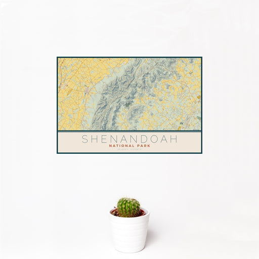 12x18 Shenandoah National Park Map Print Landscape Orientation in Woodblock Style With Small Cactus Plant in White Planter