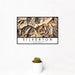 12x18 Silverton Colorado Map Print Landscape Orientation in Ember Style With Small Cactus Plant in White Planter