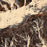 Snowbird Utah Map Print in Ember Style Zoomed In Close Up Showing Details