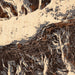 Snowbird Utah Map Print in Ember Style Zoomed In Close Up Showing Details