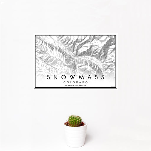 12x18 Snowmass Colorado Map Print Landscape Orientation in Classic Style With Small Cactus Plant in White Planter