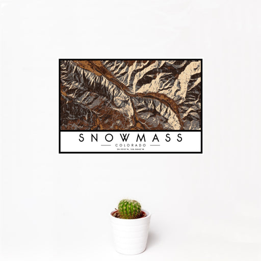 12x18 Snowmass Colorado Map Print Landscape Orientation in Ember Style With Small Cactus Plant in White Planter