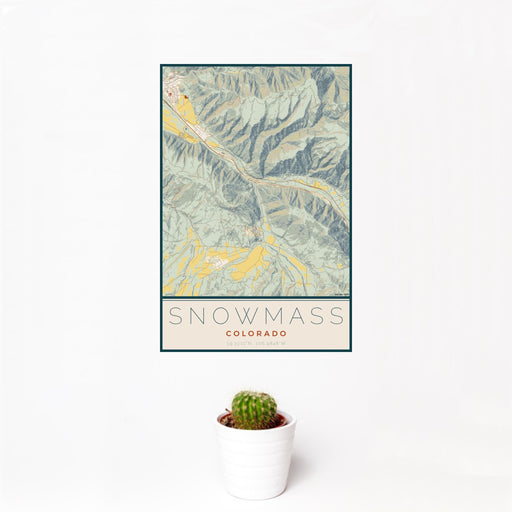 12x18 Snowmass Colorado Map Print Portrait Orientation in Woodblock Style With Small Cactus Plant in White Planter