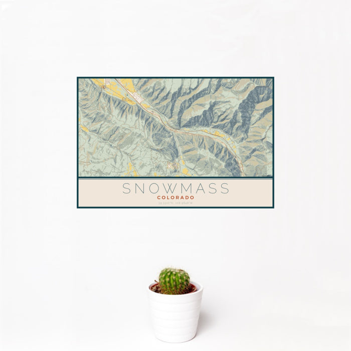 12x18 Snowmass Colorado Map Print Landscape Orientation in Woodblock Style With Small Cactus Plant in White Planter