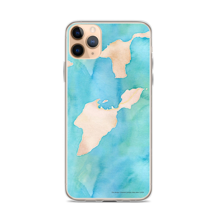 Custom iPhone 11 Pro Max South Bass Island Ohio Map Phone Case in Watercolor